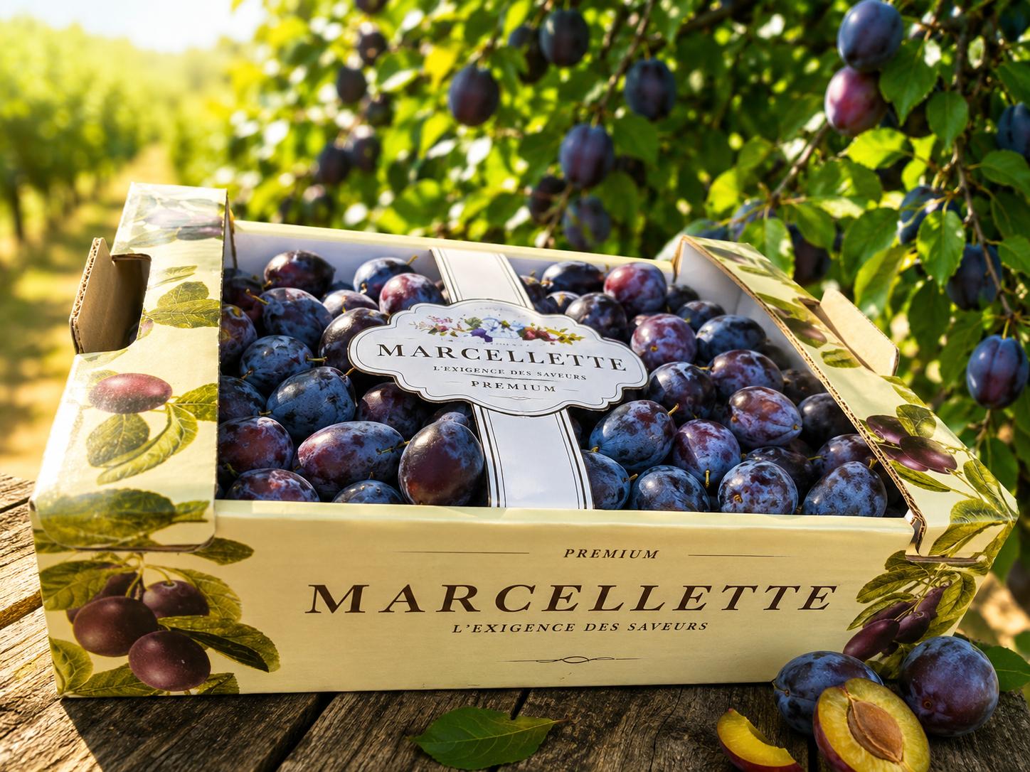 Prunes et fruits à noyau de la sélection MIA en conditionnement de marque