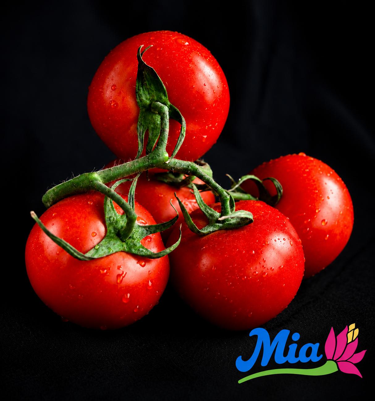 Tomates fraîches de la sélection MIA en barquette de marque