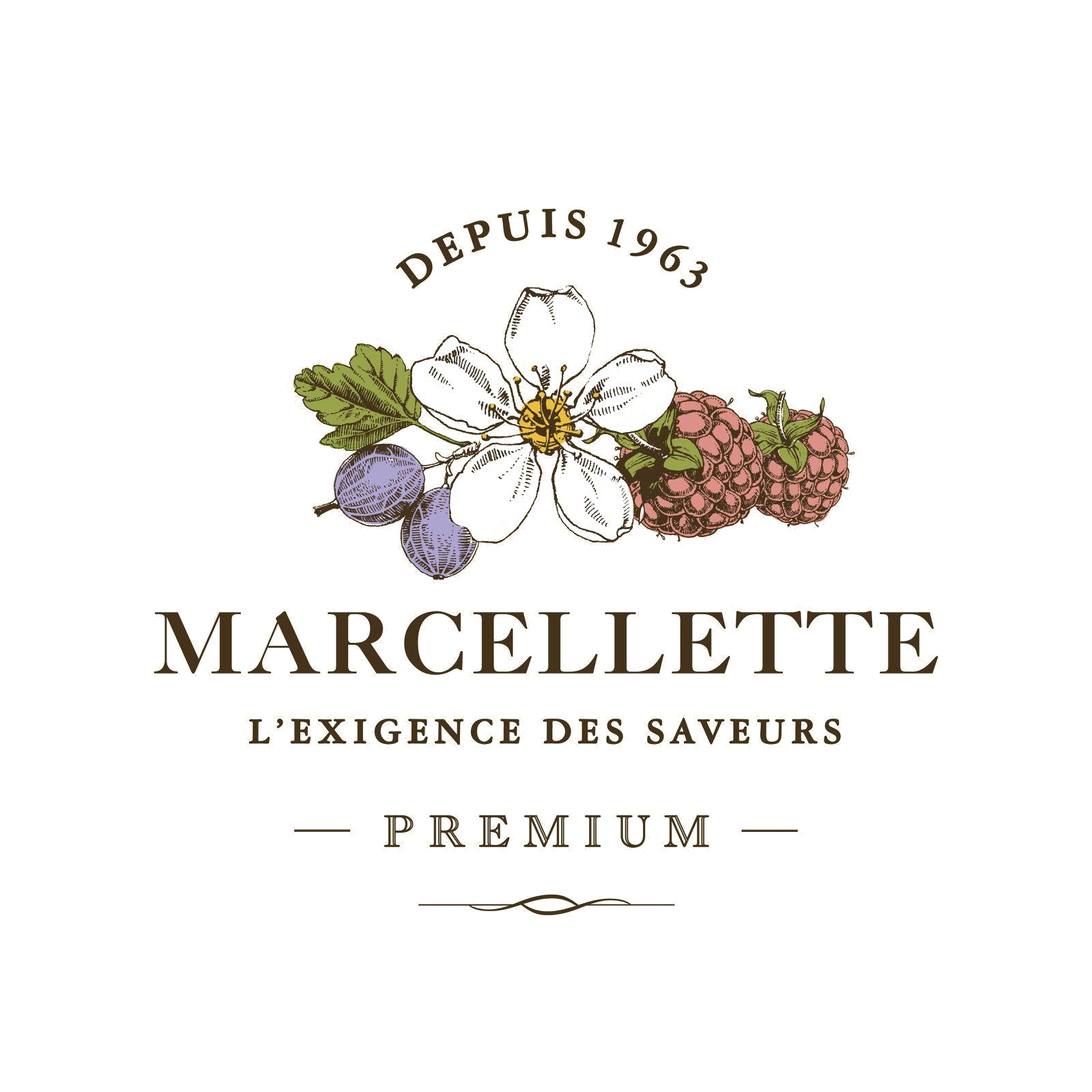 Logo Marcellette